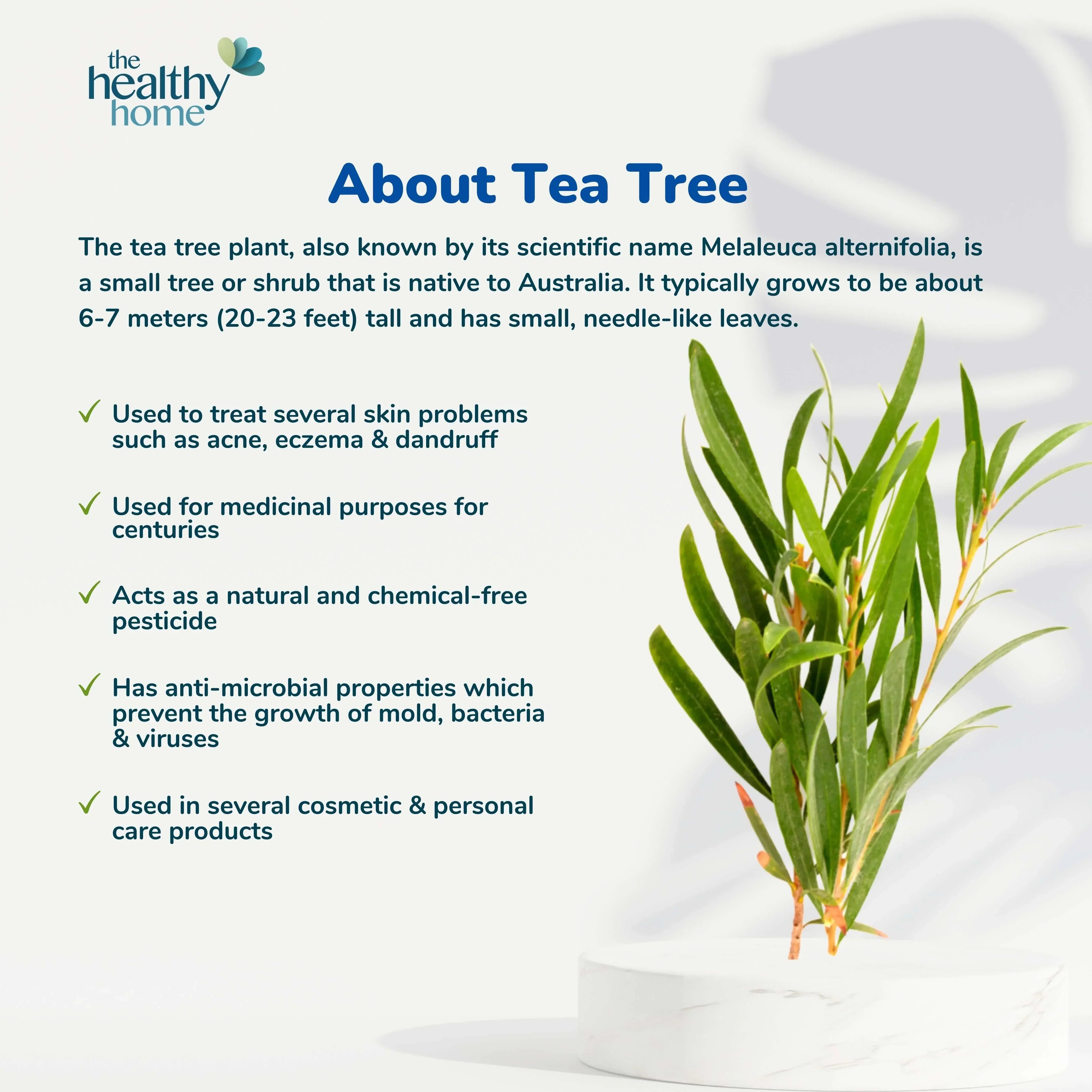 About Tea tree,Gelair™ Health-e SPLIT