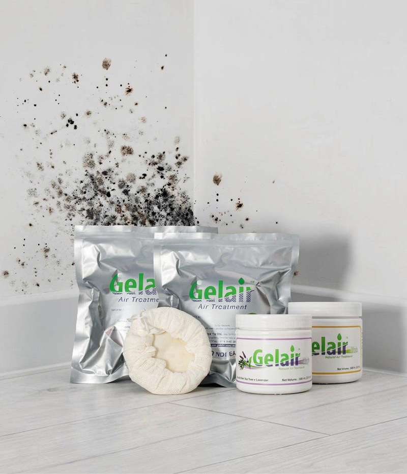 Mold Solutions