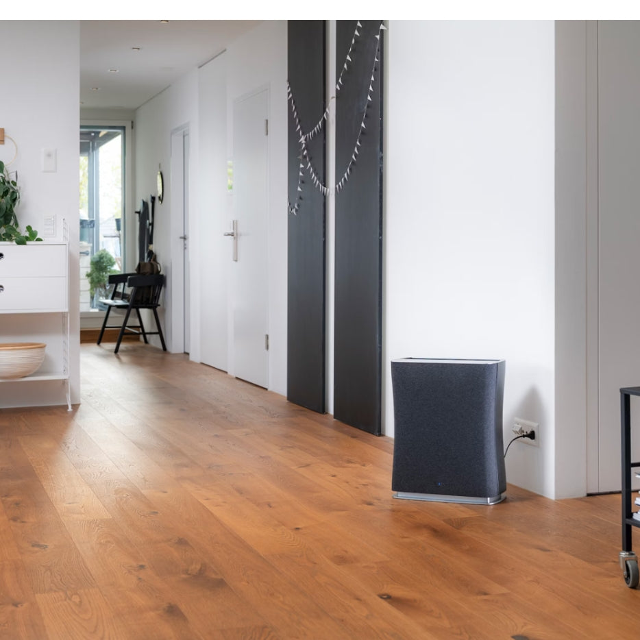 Stadler Form ROGER Air Purifier with Wi-Fi & Dual Filter - Black