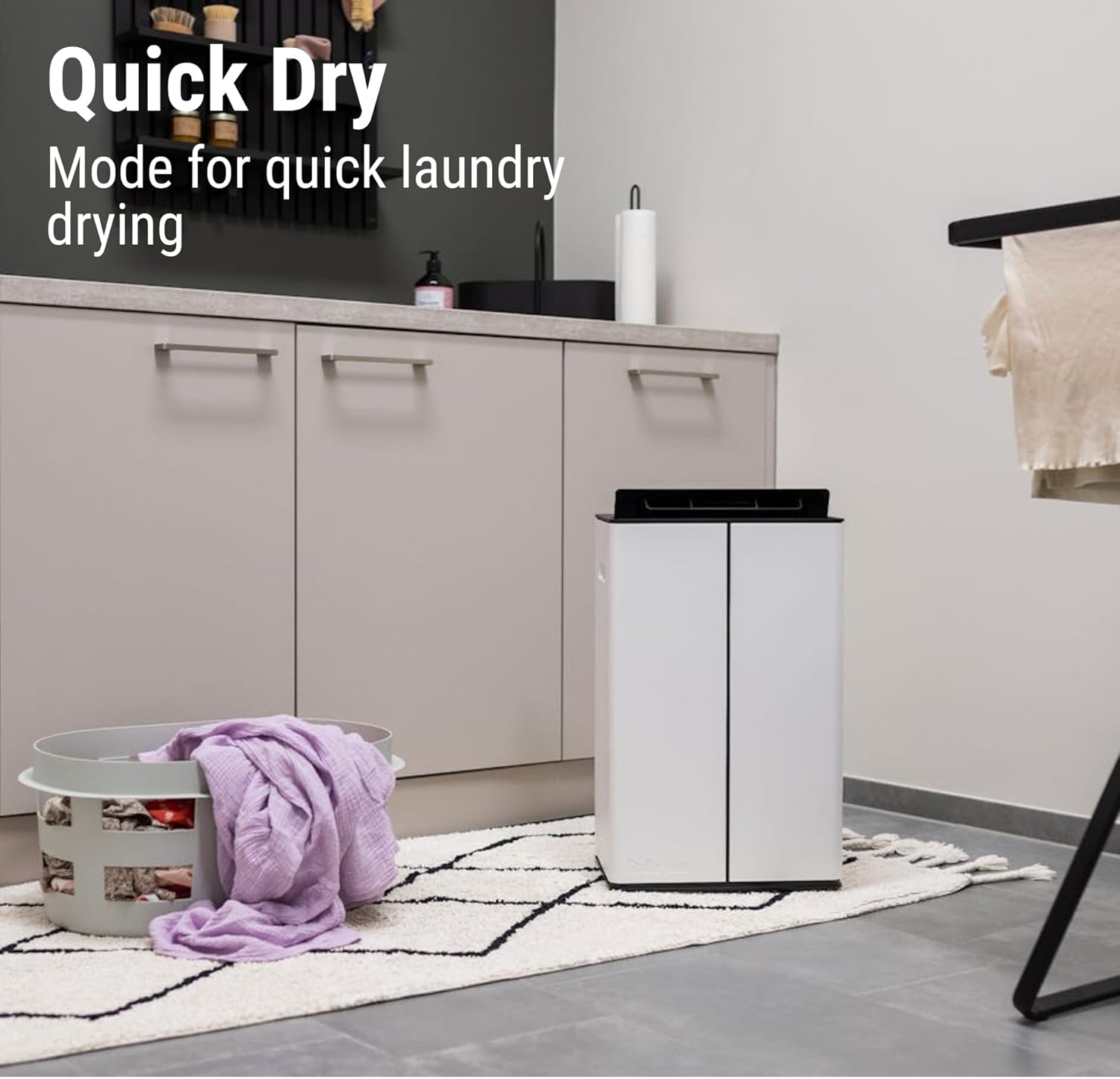 Stadler Form Lukas Dehumidifier 20L