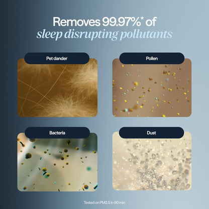 Blueair Mini Restful Particle | Replacement HEPA Filter | Removes 99.97% of Airborne Particles, Virus, Bacteria, Odor, Smoke, Easy Replacement,