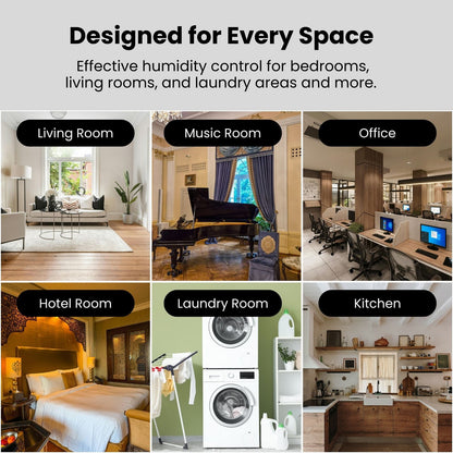 Stadler Form Albert Dehumidifier 20L, Smart Humidity Sensor, 24 Hours Dehumidification for Large Rooms up to 70m², Mold Prevention, Effective Air Distribution, Auto Mode, Very Quiet, 2 Years Warranty