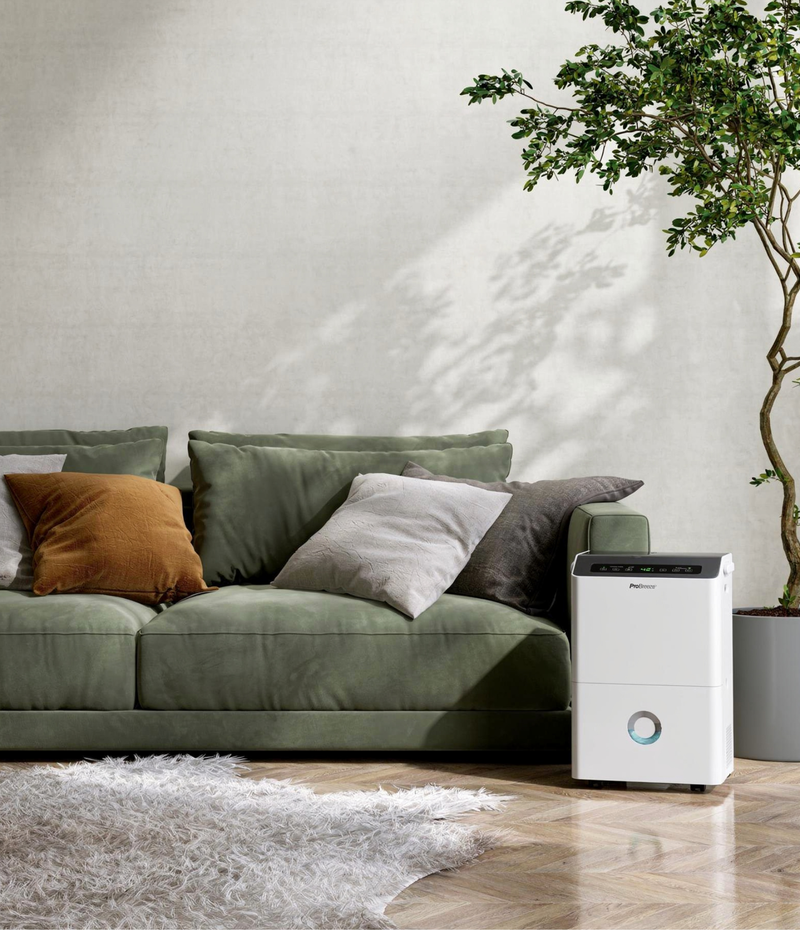 Dehumidifier