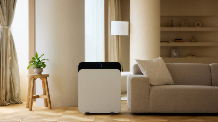 Air Purifiers