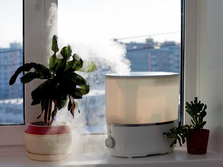 Humidifier