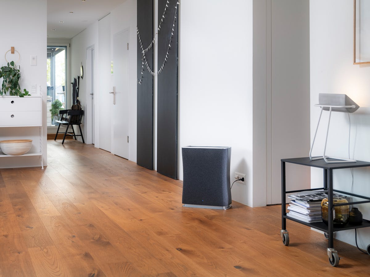 Stadler Form Roger Air Purifier