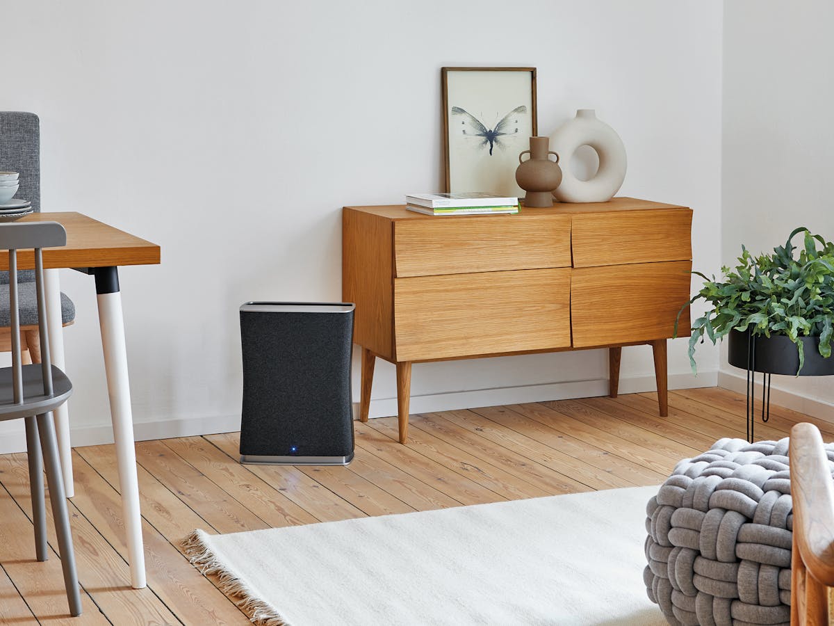 Stadler Form Roger Little Air Purifier
