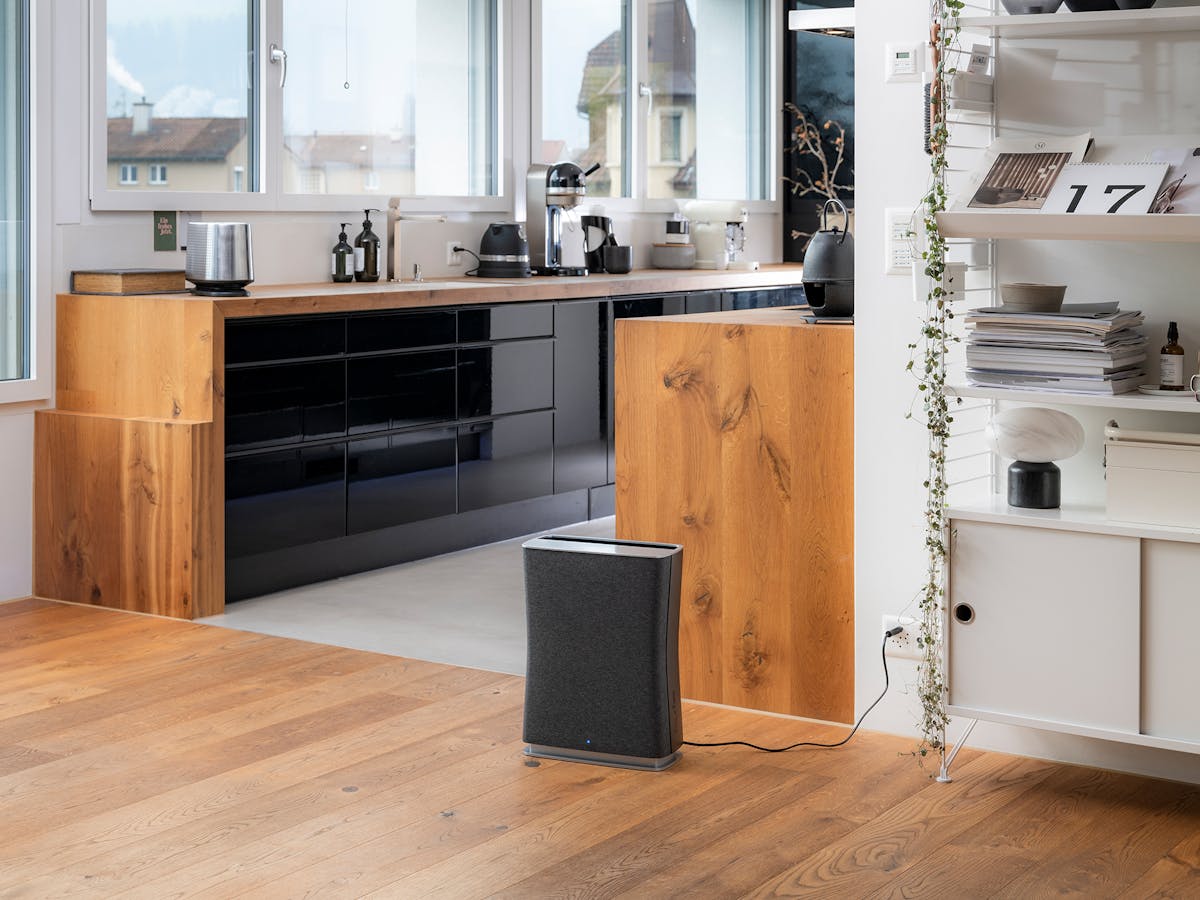 Stadler Form Roger Little Air Purifier
